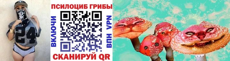 Галлюциногенные грибы MAGIC MUSHROOMS  Куртамыш 